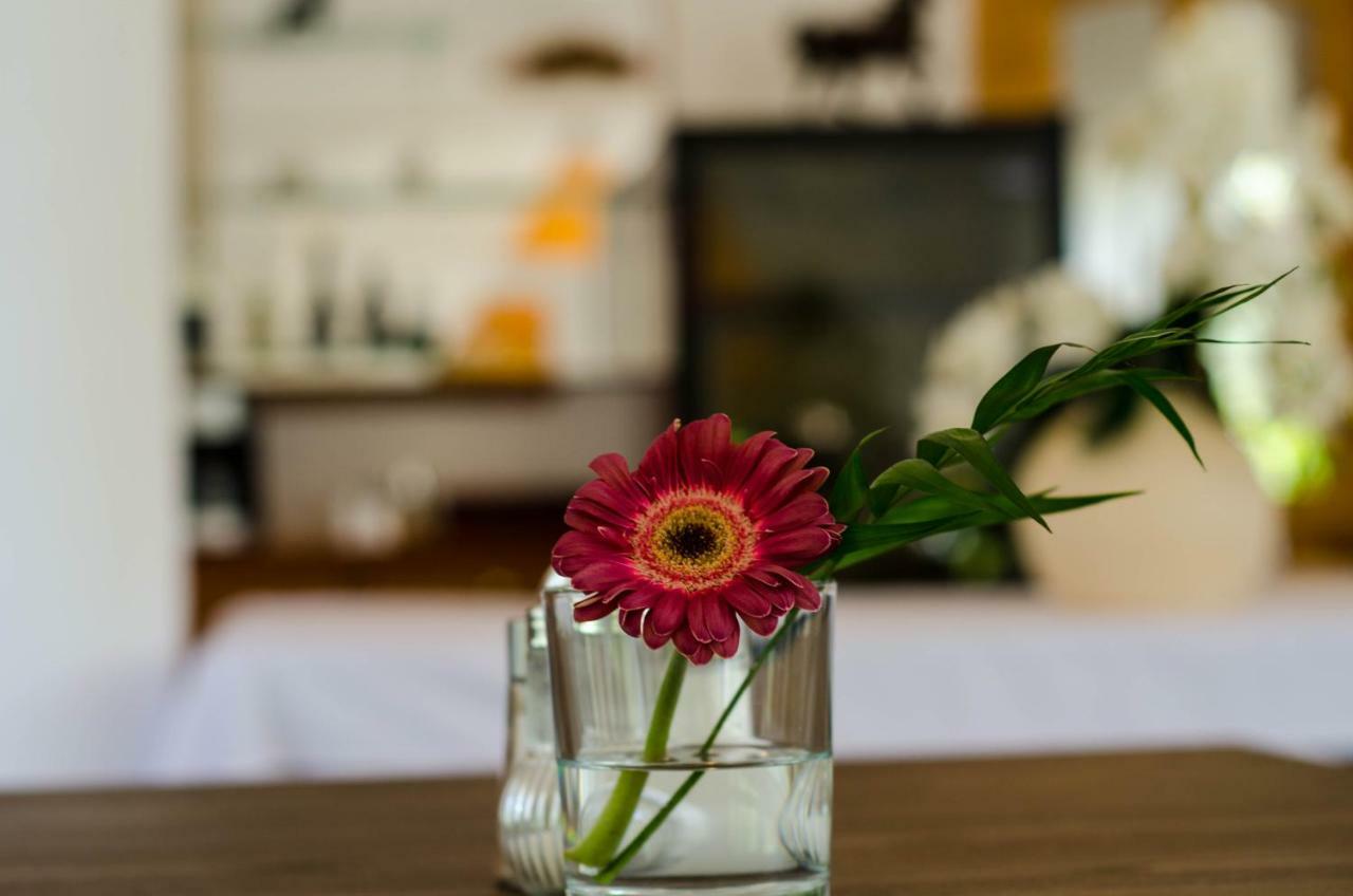 Wagner Panzio Hotel Cserszegtomaj Ngoại thất bức ảnh